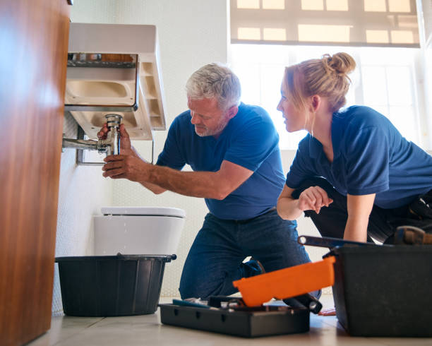 Professional Plumbing in Moline, IL